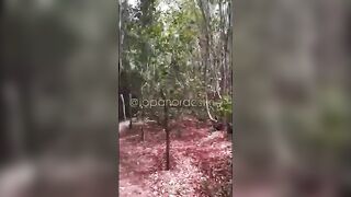 Japa Nordestina gostosa mamando no meio do mato